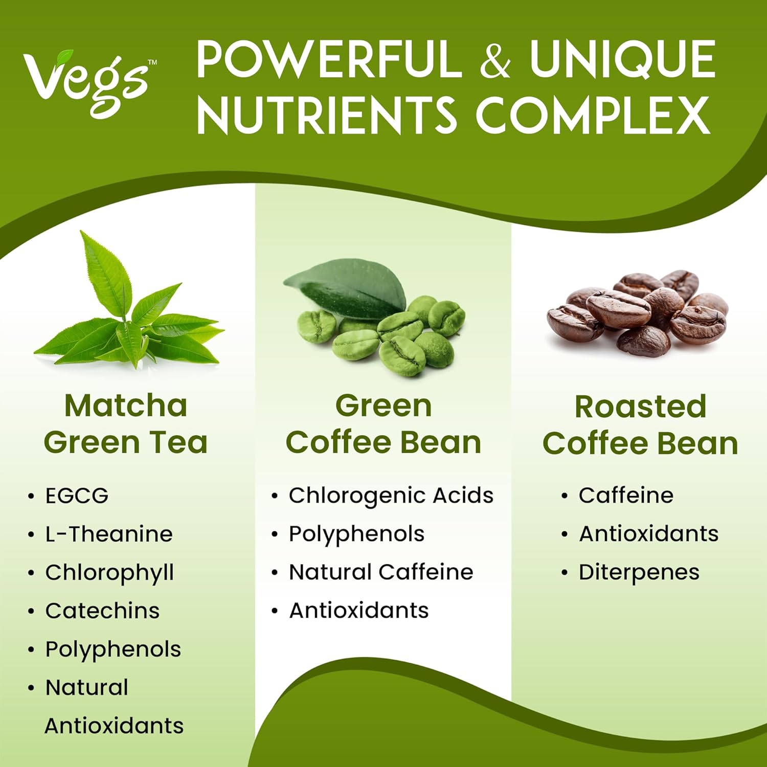 Matcha Green Tea and Coffee Tea Bags