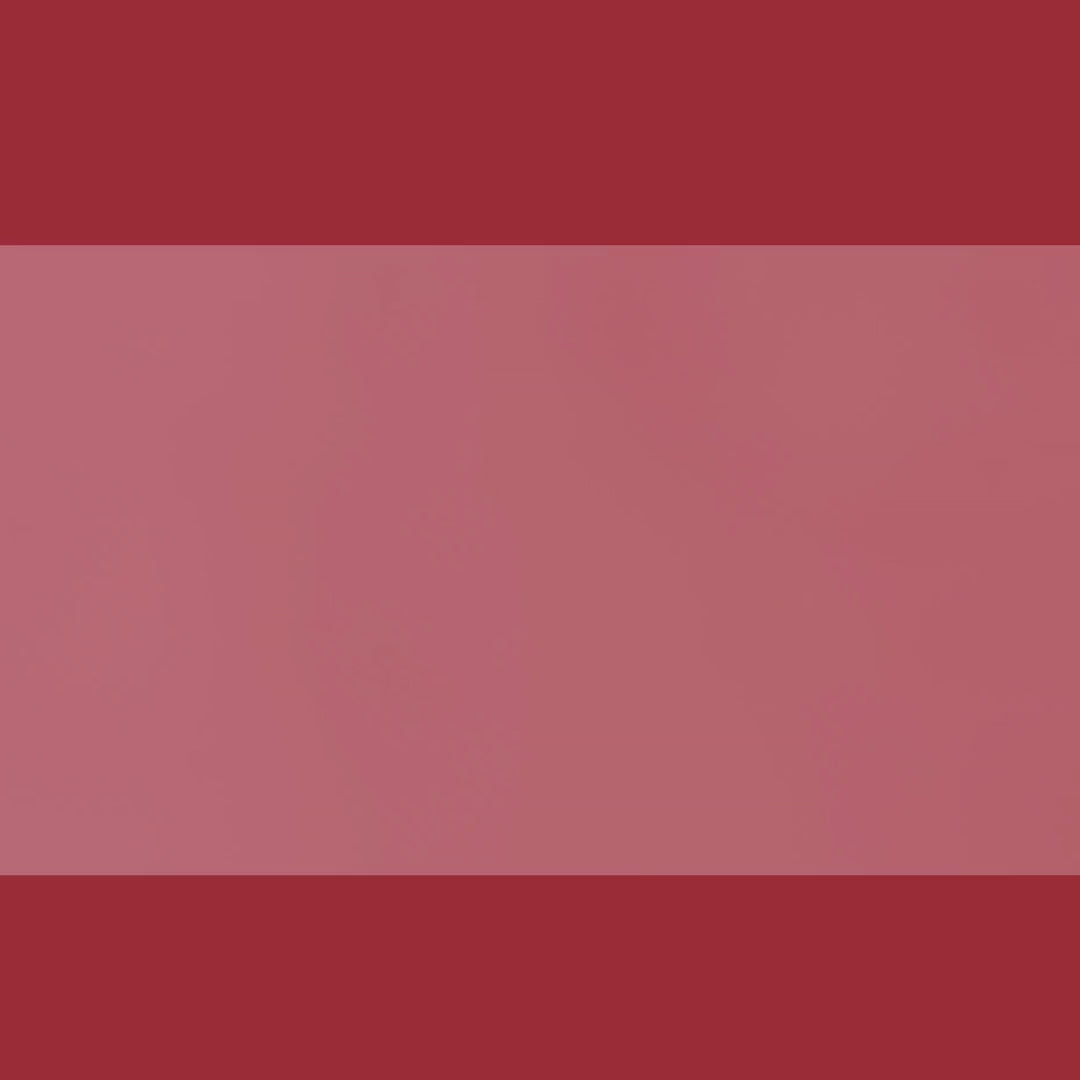 Pomegranate Juice Powder